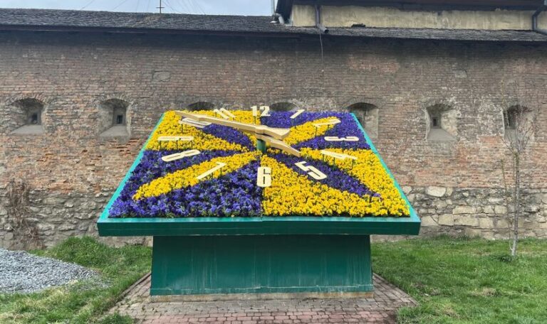 У центрі Львова висадили перші квіткові композиції