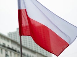 Польща залишила у силі ембарго на імпорт українського збіжжя