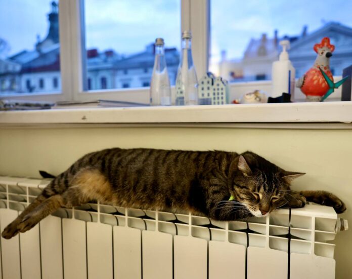 photo_2025-10-29_14-39-17