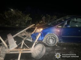 На Львівщині мікроавтобус вдарив підводу: двоє постраждалих
