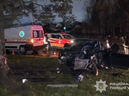 У Львові уночі Honda Civic врізалась у дерево: 24-річний водій загинув