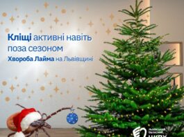 На Львівщині фіксують зростання захворюваності на хворобу Лайма