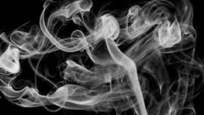 15448749931-12197b6f