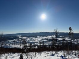 Минулого тижня на Львівщині з ознаками ГРВІ госпіталізовано 300 людей