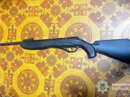 На Львівщині жінка з пневматичної гвинтівки застрелила собаку