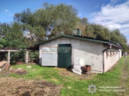 На Львівщині судитимуть державного реєстратора за «приватизацію» ферми