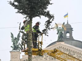 Головну ялинку Львова демонтували
