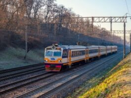 У Львові притягнули до відповідальності батьків малолітнього «зачепера»