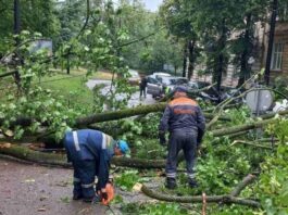 На площі святого Юра дерево пошкодило контактну мережу