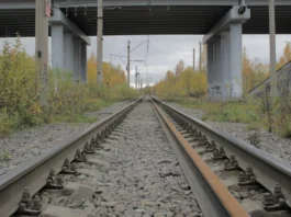 У Брянській та Калузькій областях обвалився міст, зійшли з рейок десятки вагонів