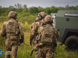 Служба безпеки уразила два російські винищувачі в Адигеї